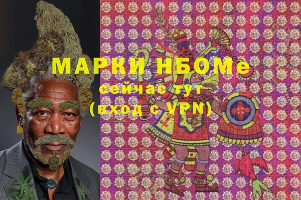 шишки Корсаков