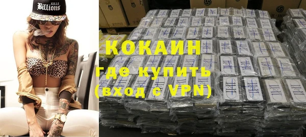 шишки Корсаков