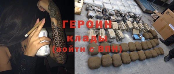 шишки Корсаков