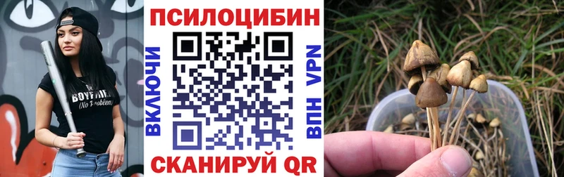 Галлюциногенные грибы Psilocybe  Купить где  Островной 